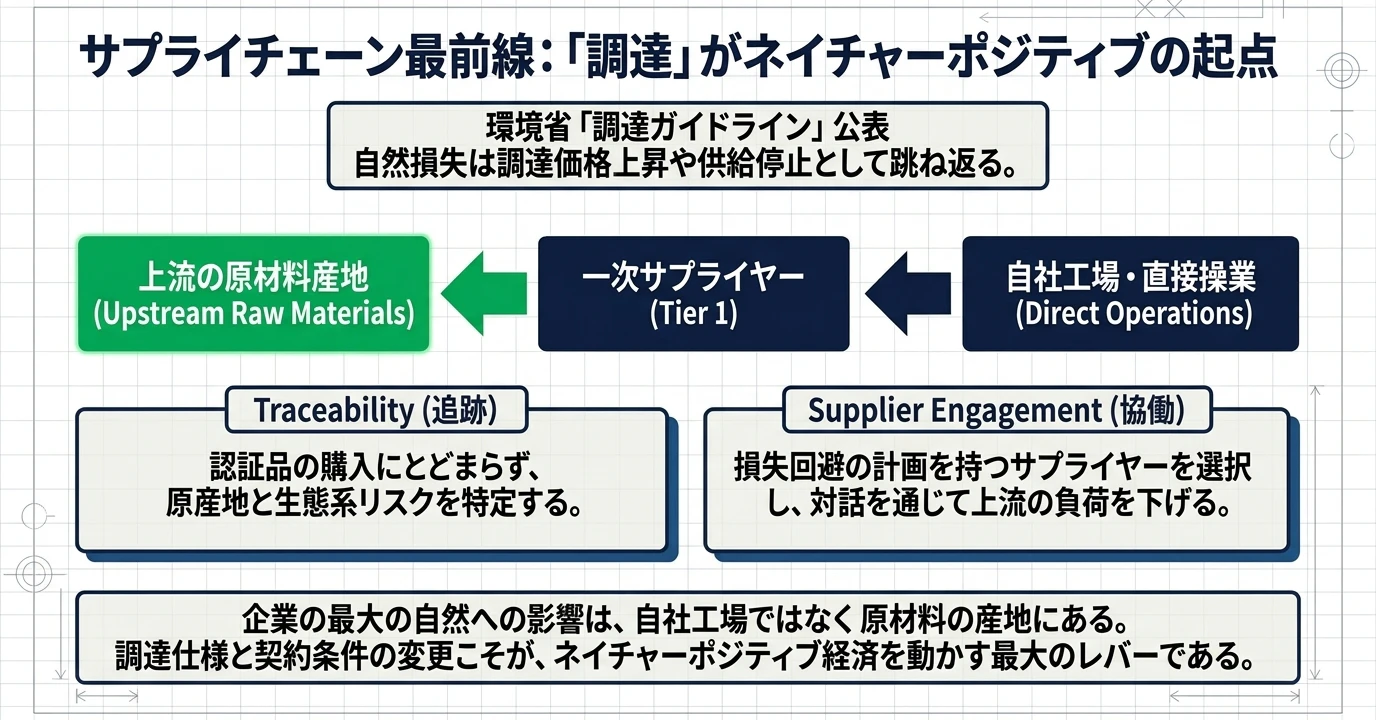 ネイチャーポジティブの要点をまとめた図: 原材料の産地を追跡と対話で確かめる